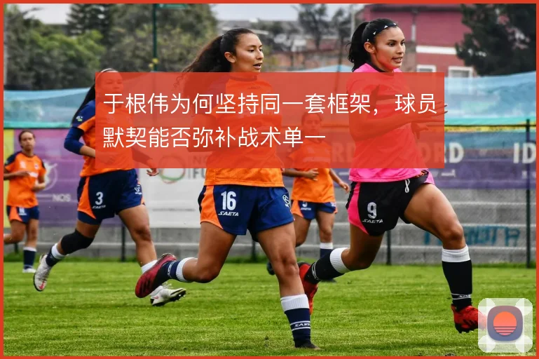 于根伟为何坚持同一套框架，球员默契能否弥补战术单一