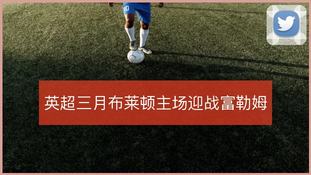 英超三月布莱顿主场迎战富勒姆