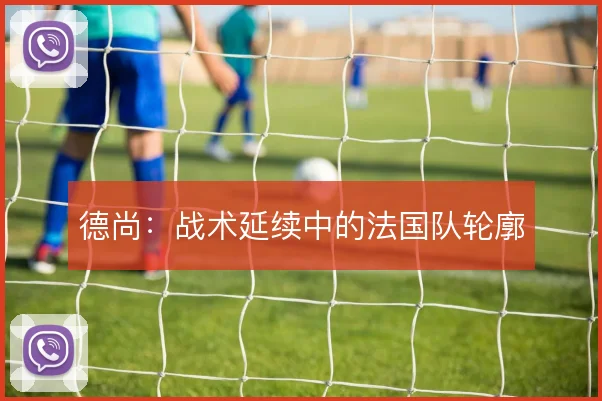 德尚:战术延续中的法国队轮廓